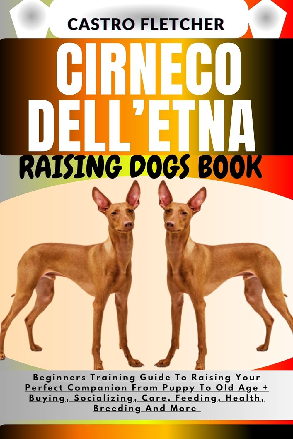 Finding Your Perfect Companion A Comprehensive Guide to Cirneco DellEtna Breeders