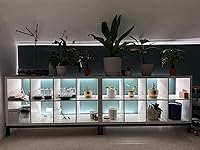 Review Image by Emily Yee Emily Yee