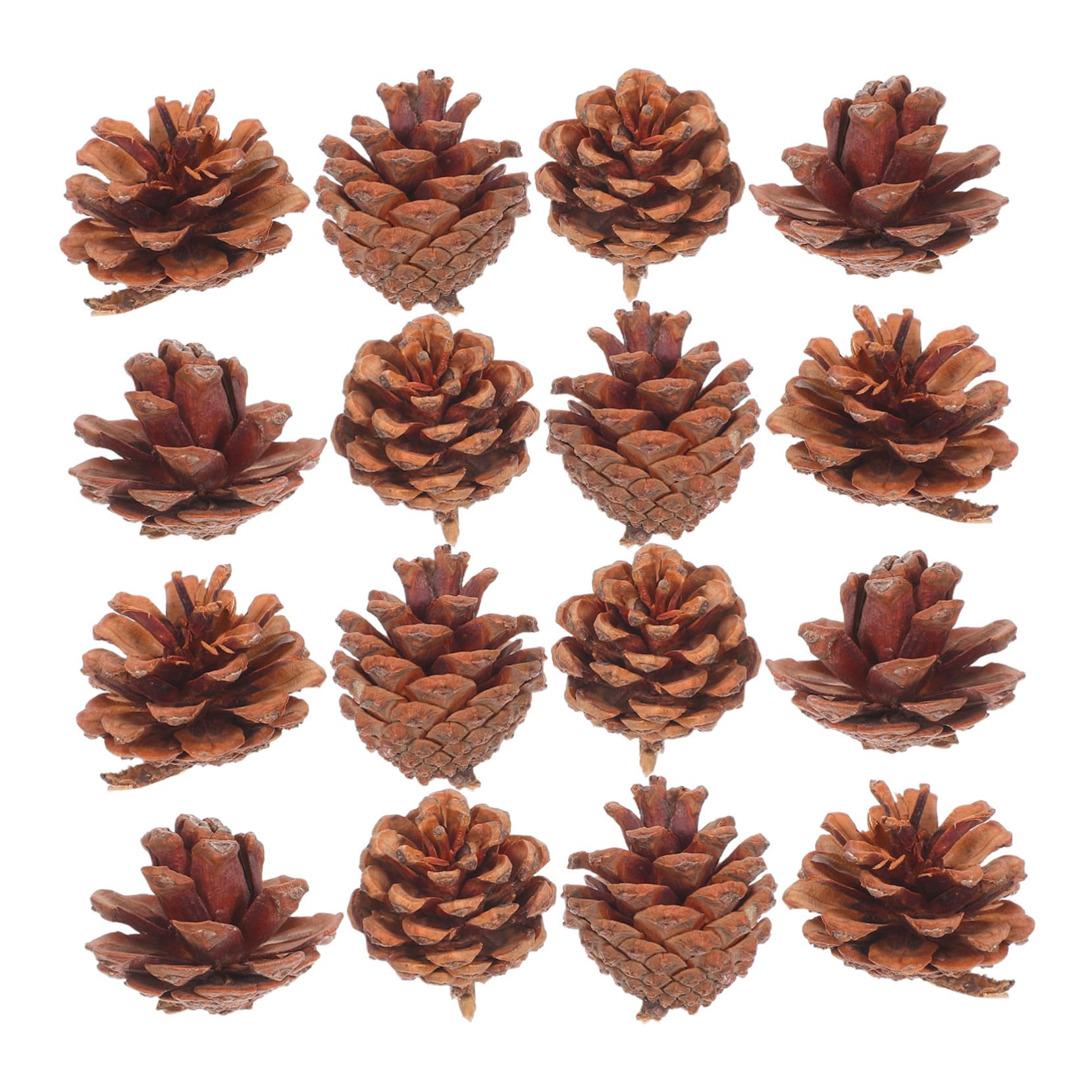 Hemobllo 130 Mini Piñas Auténticas para Decoraciones Navideñas y Manualidades de Temporada y Materiales de Conos de Pino para Relleno de Jarrones