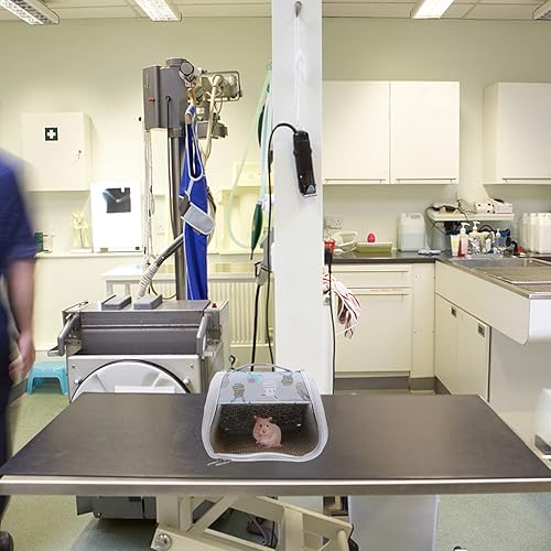 Miniatura 7 de Mochila de viaje, mochila para hámster, bolsa de transporte transpirable para animales pequeños, bolsa de viaje para conejillo de indias, ardilla,