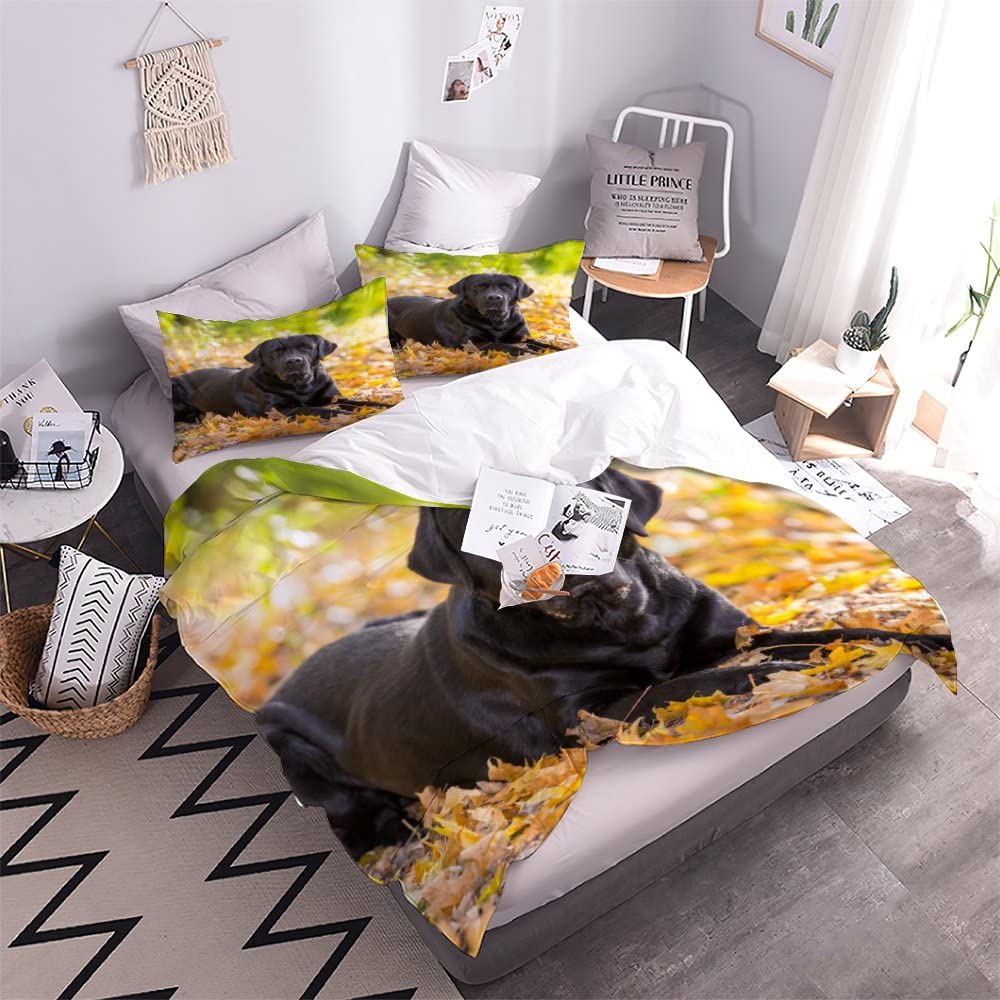 Set Biancheria Da Letto 3 Pezzi Con Cane Bernese 3D - Copripiumino In Microfibra Con Cerniera - Taglie Singolo, Matrimoniale, King - 4