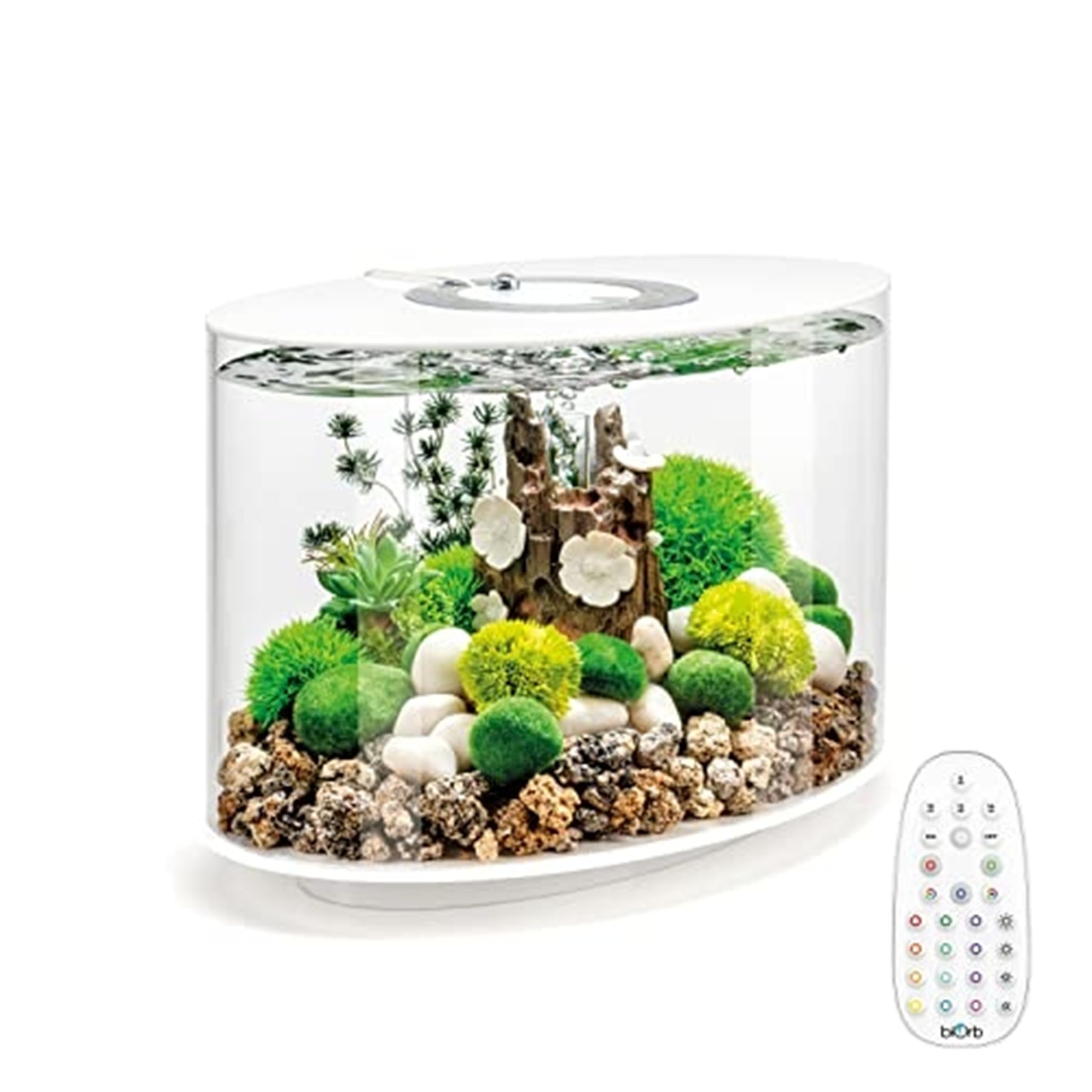 OASE biOrb LOOP MCR Aquarium Multi-Colour LED 15L 30L Acrylic Starter Fish Tank