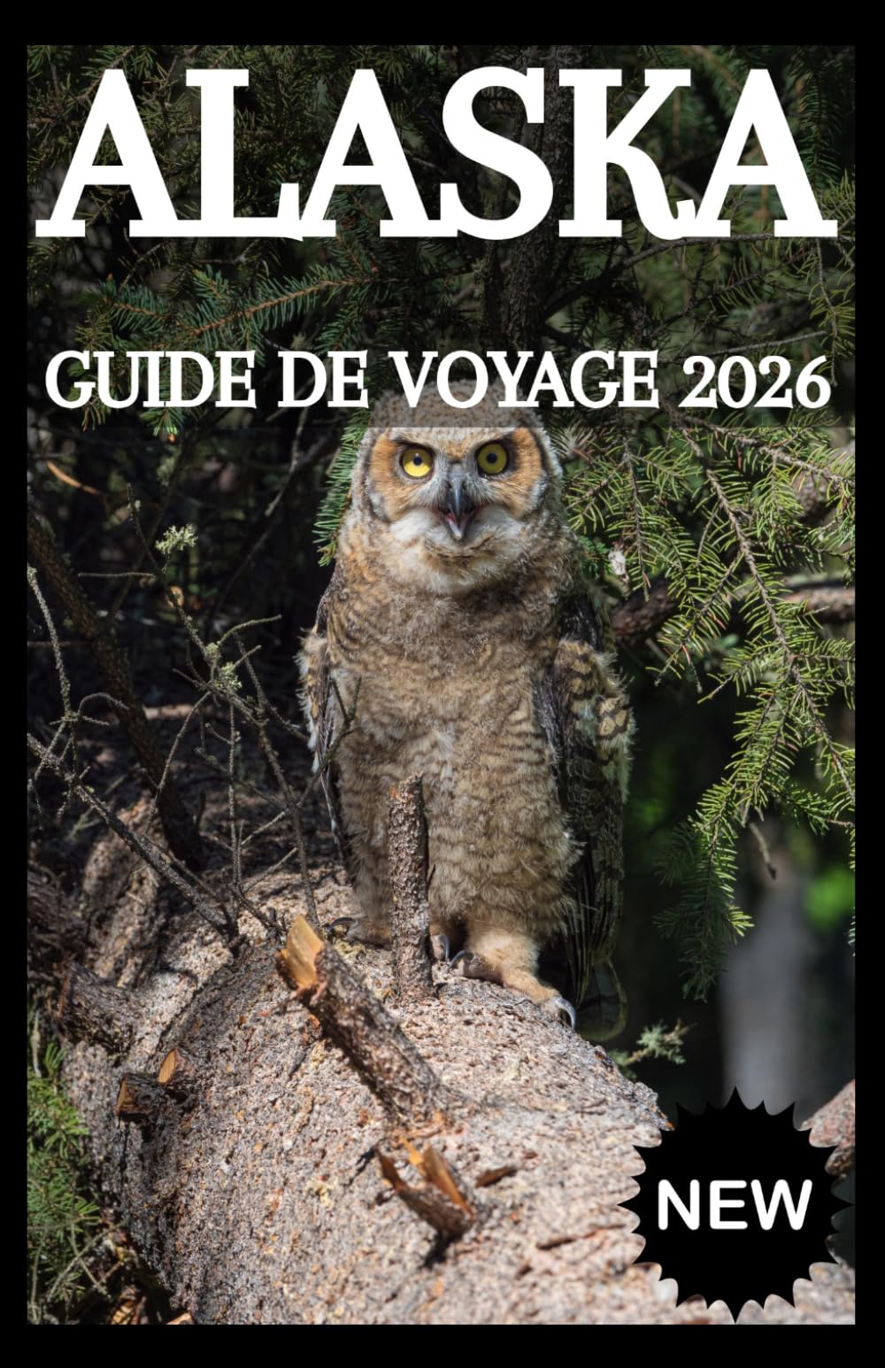 ALASKA Guide de voyage 2026