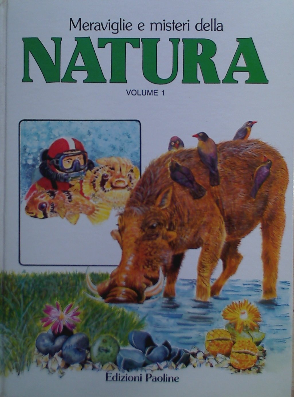 Meraviglie e misteri della natura. Oceani, piante, animali (Vol. 1) (I primi libri)