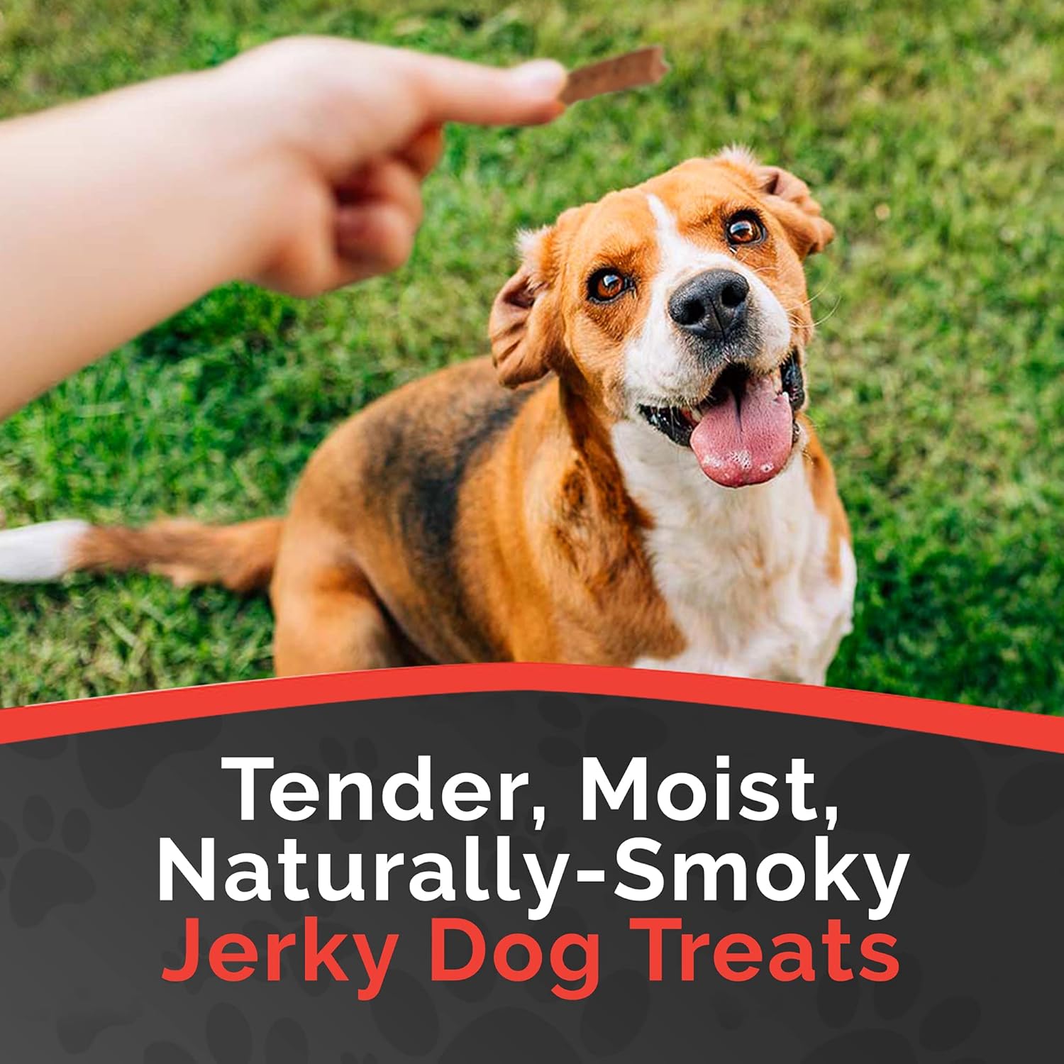 Miss Nelly's - Chicken Jerky Dog Treats - Soft Sticks - USA Made and Sourced - Original Smoke House Recipe - Small Batch Chicken Jerky for Dogs - Minimally Processed - 8 oz. Bag