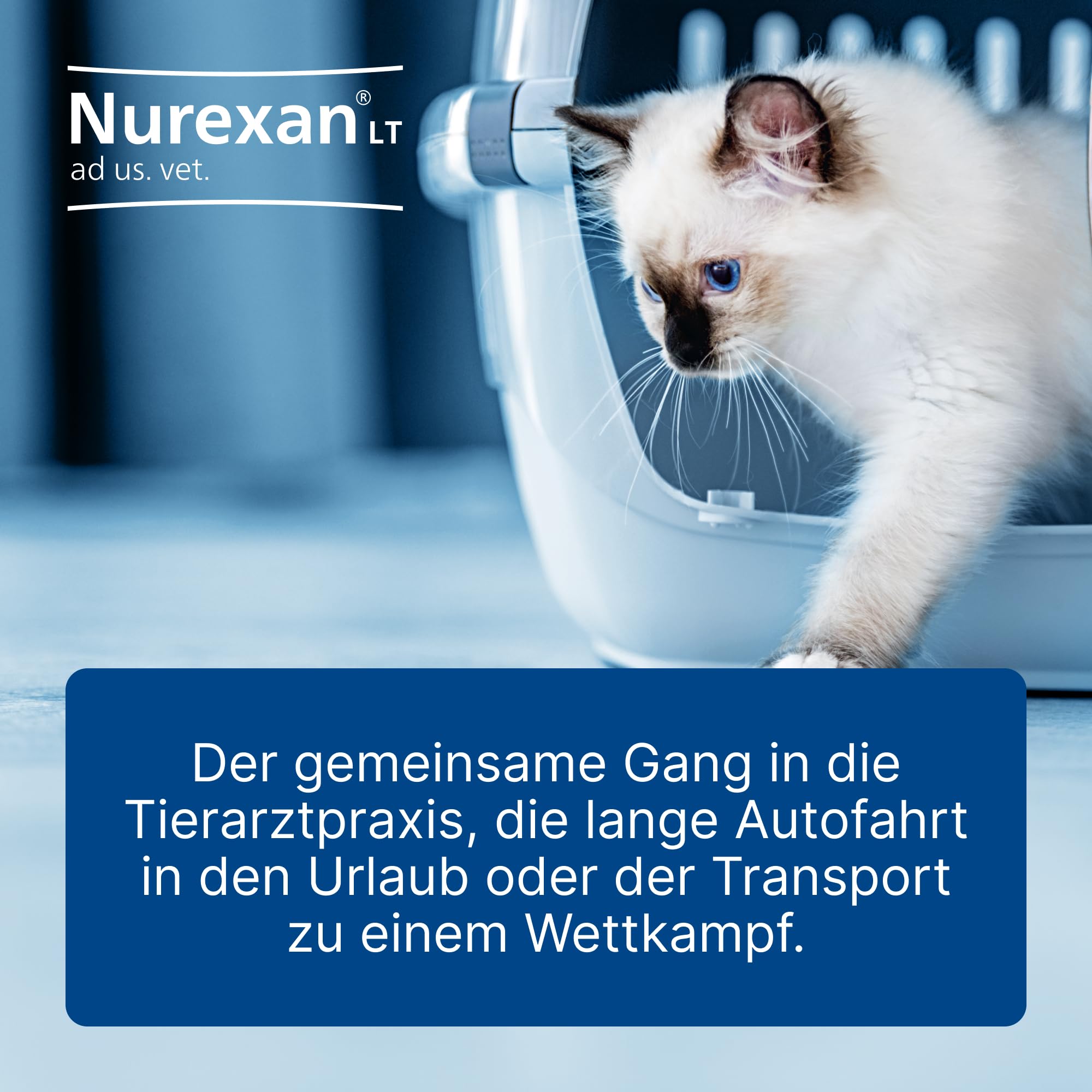 LT ad us. Vet. 500 Tabletten, Nur die Ruhe | Natürliches Tierarzneimittel für Hunde, Katzen und Pferde, Unterstützung in belastenden Situationen! , Made in Germany