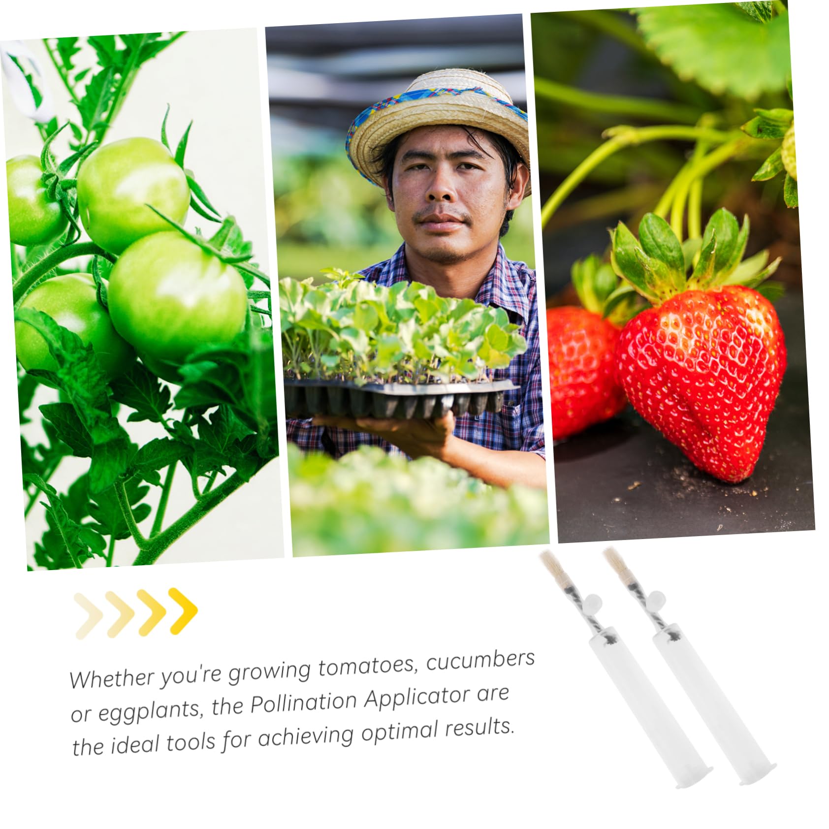 Abaodam 5 Ensembles Stylo Craie Pollinisateur De Fruits Et Légumes Pollinisateur De Plantes Jardinage Outil De Pollinisation des Fleurs Pollinisation De La Cour Plastique 2 Pièces * 5