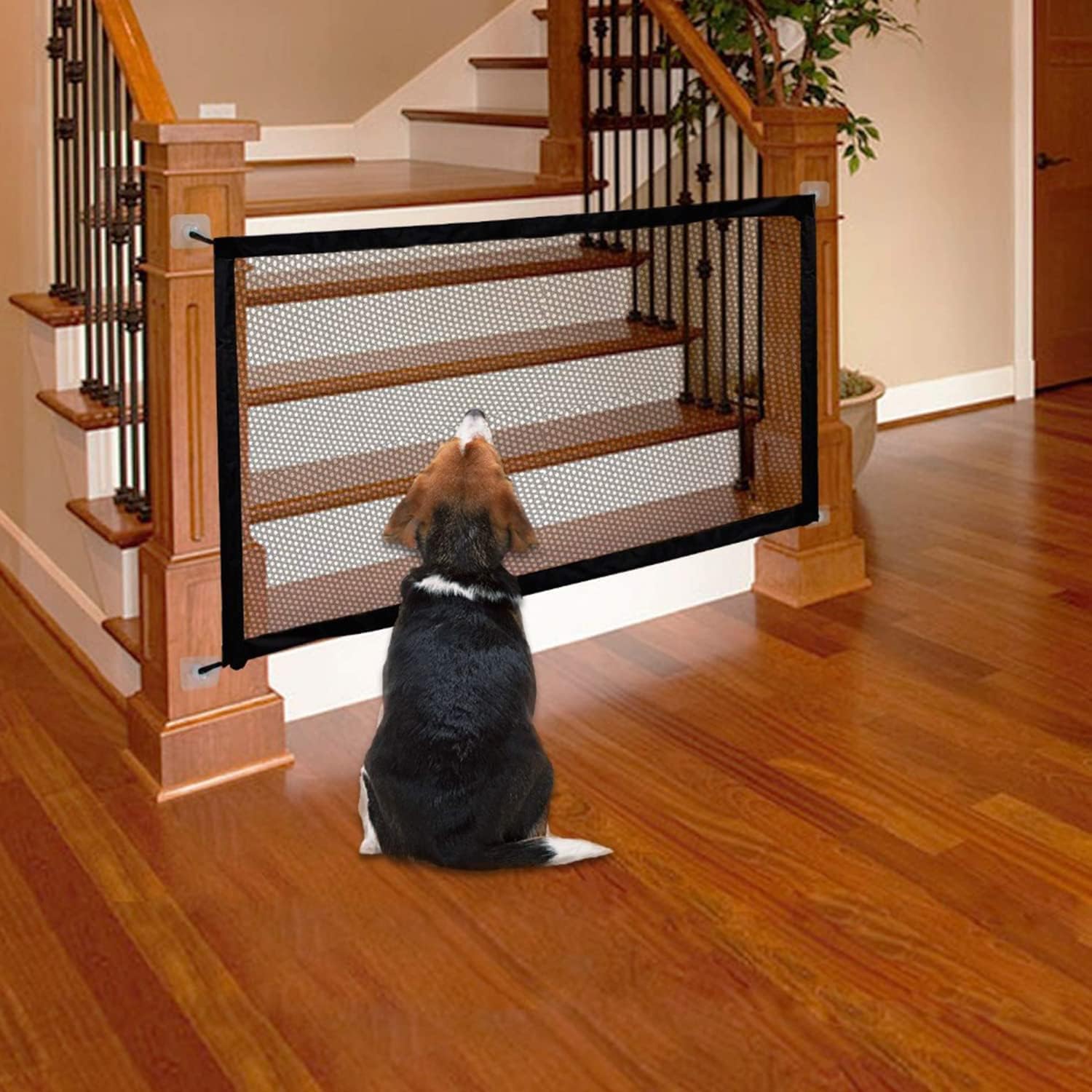 Barrière De Sécurité Pour Chiens Et Chiots Lionto - Hauteur 70 Cm Marron/Noir - Extensible Jusqu'à 180 Cm