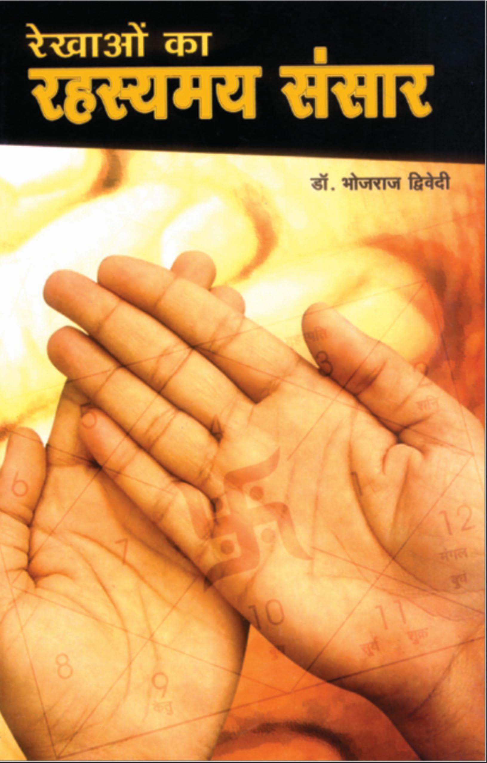 Rekhaon Ka Rahasyamay Sansar (रेखाओं का रहस्यमय संसार)