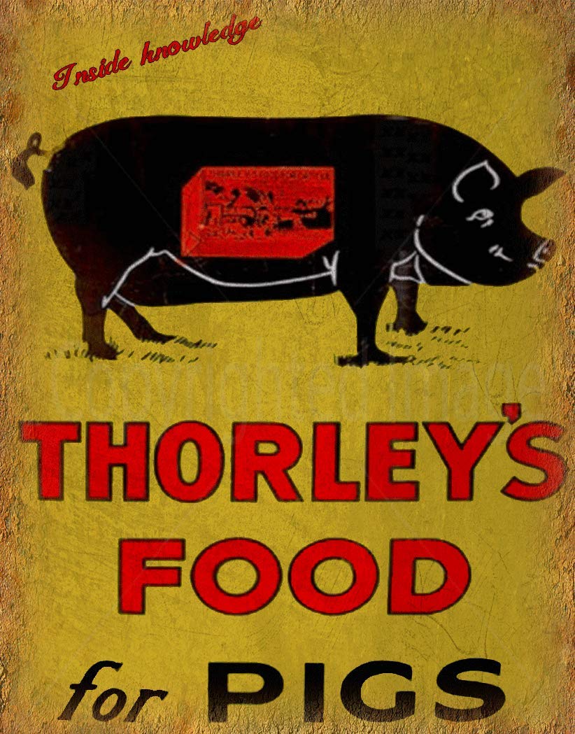 Bioprocess Thorley's Food For Pigs Farm Vintage Advertisement Large Metal/Tin Sign Poster Tin Sign 8X12 Inch