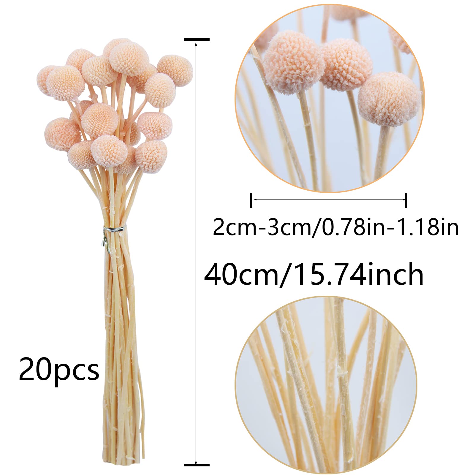 CISDUEO 20 Stück getrocknete Blumen, Craspedia, Billy Balls, Blumen, Billy Buttons, Rosa, getrocknete Blumenstrauß-Arrangements für Hochzeit, Zuhause, hohe Vase, Boho-Dekor