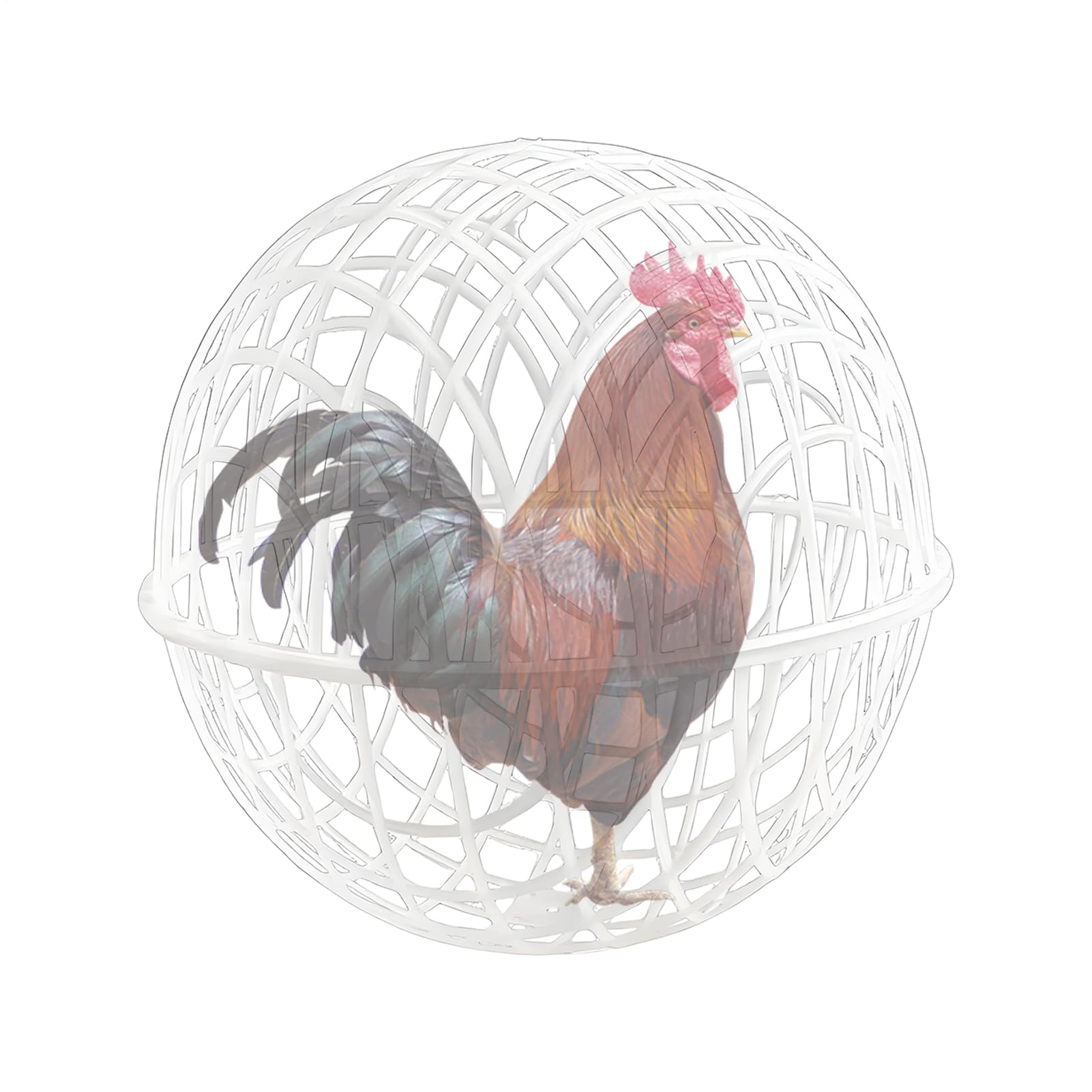 Chicken Cage Ball - Movable Chicken Coop Ball,Movable Portable Poultry Coop Safety Walking Net Chick Enclosure for Outdoor, Ducks & Pigeons