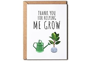 Thank You Gift for Amazing Mentor - Teacher Appreciation Card
