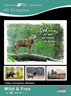 Greeting Cards Assortment Box - Wild and Free (KJV) - All Occasions Greeting Cards - Christian Greeting Cards Assortment with Envelopes - Bible Verse Cards - Scripture Cards with Bible Verses - Box of 12