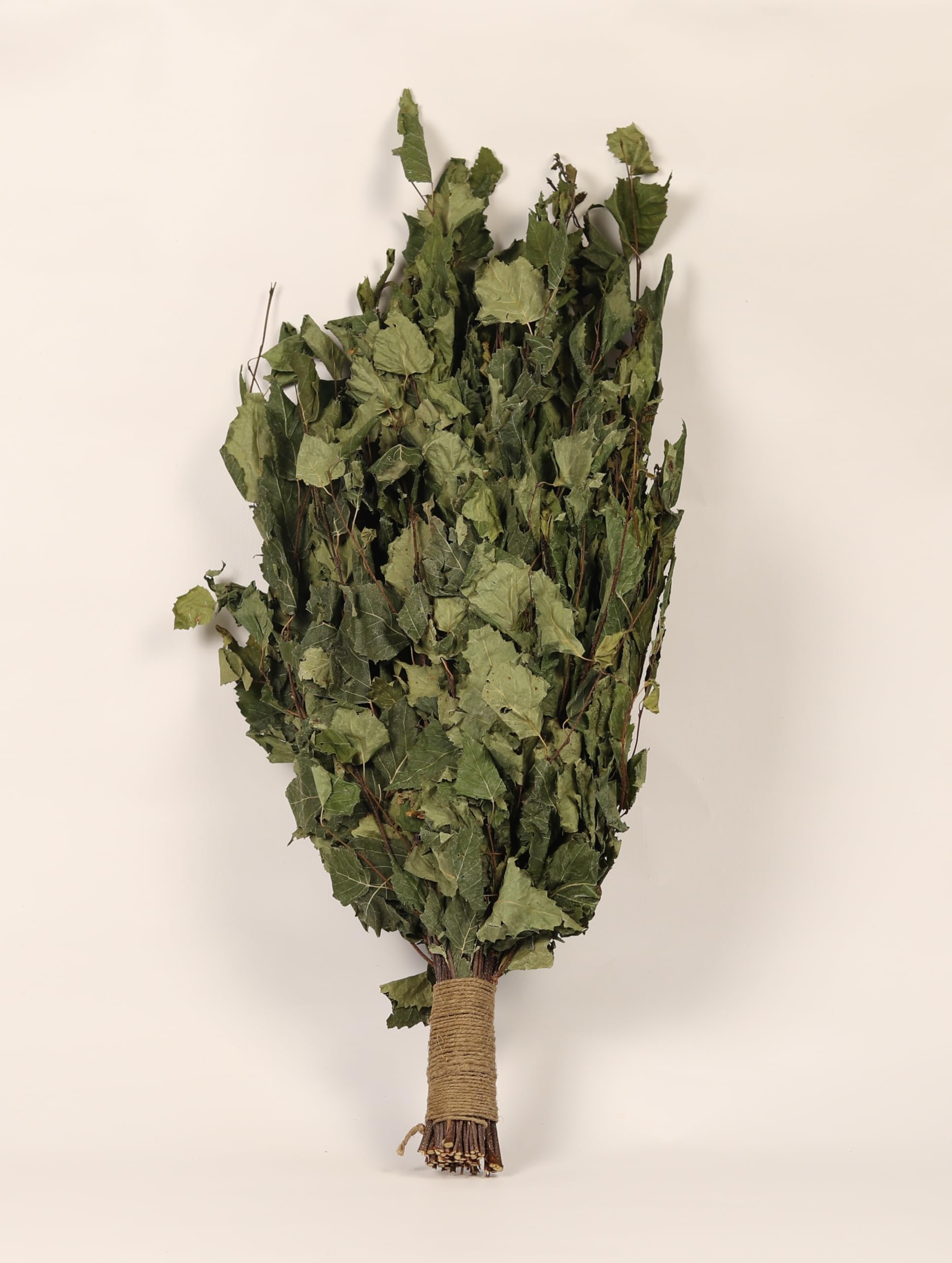 ECOWOODDECOR Set of 5 Birch Sauna Broom - Authentic Sauna Experience with Natural Fragrance