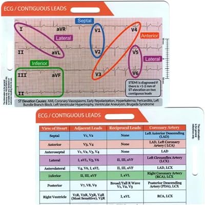 Funny ECG EKG Rhythm Pocket Card,Double Sided Badge Barbados | Ubuy