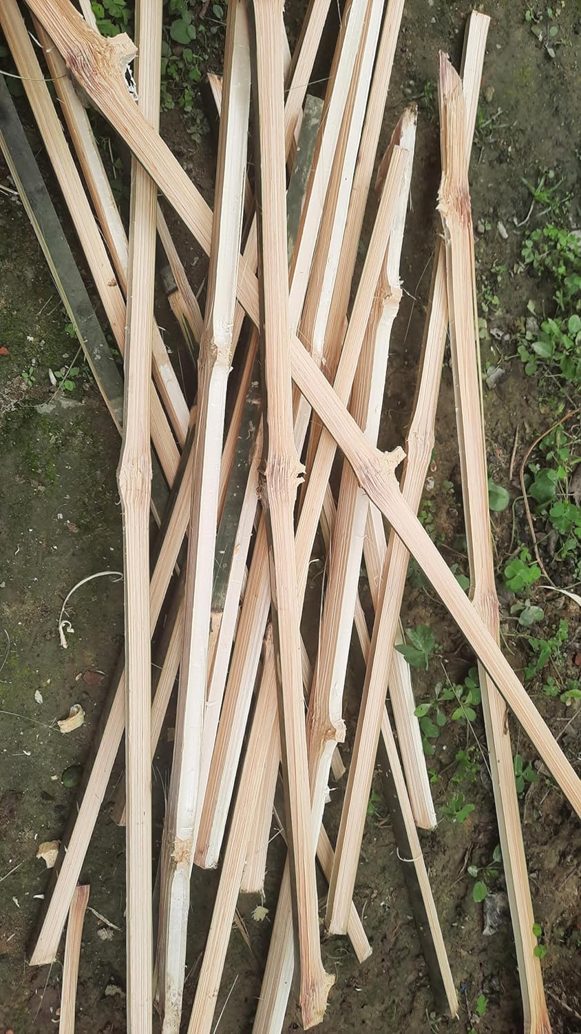 3ft Bamboo Plant Support Sticks – Pack of 20 | Natural Garden Stakes for Supporting, Training & Straightening Plants | Eco-Friendly & Durable – Indoor & Outdoor Use-image-43