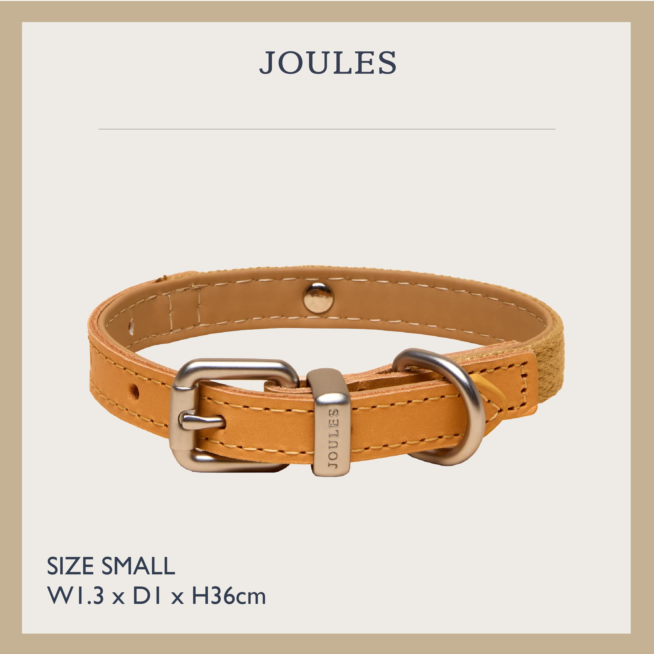 Rosewood x Joules Tan Dog Collar, Small, Durable Leather and Webbing Detail, Stylish Design with Brushed Metal Buckle - Image 3