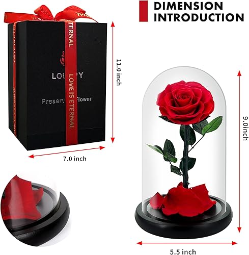 Miniatura 6 de Forever Roses - Idea de regalo para mamá, rosa de la Bella y la Bestia en cúpula de cristal, flor de rosa preservada eterna, regalo para ella