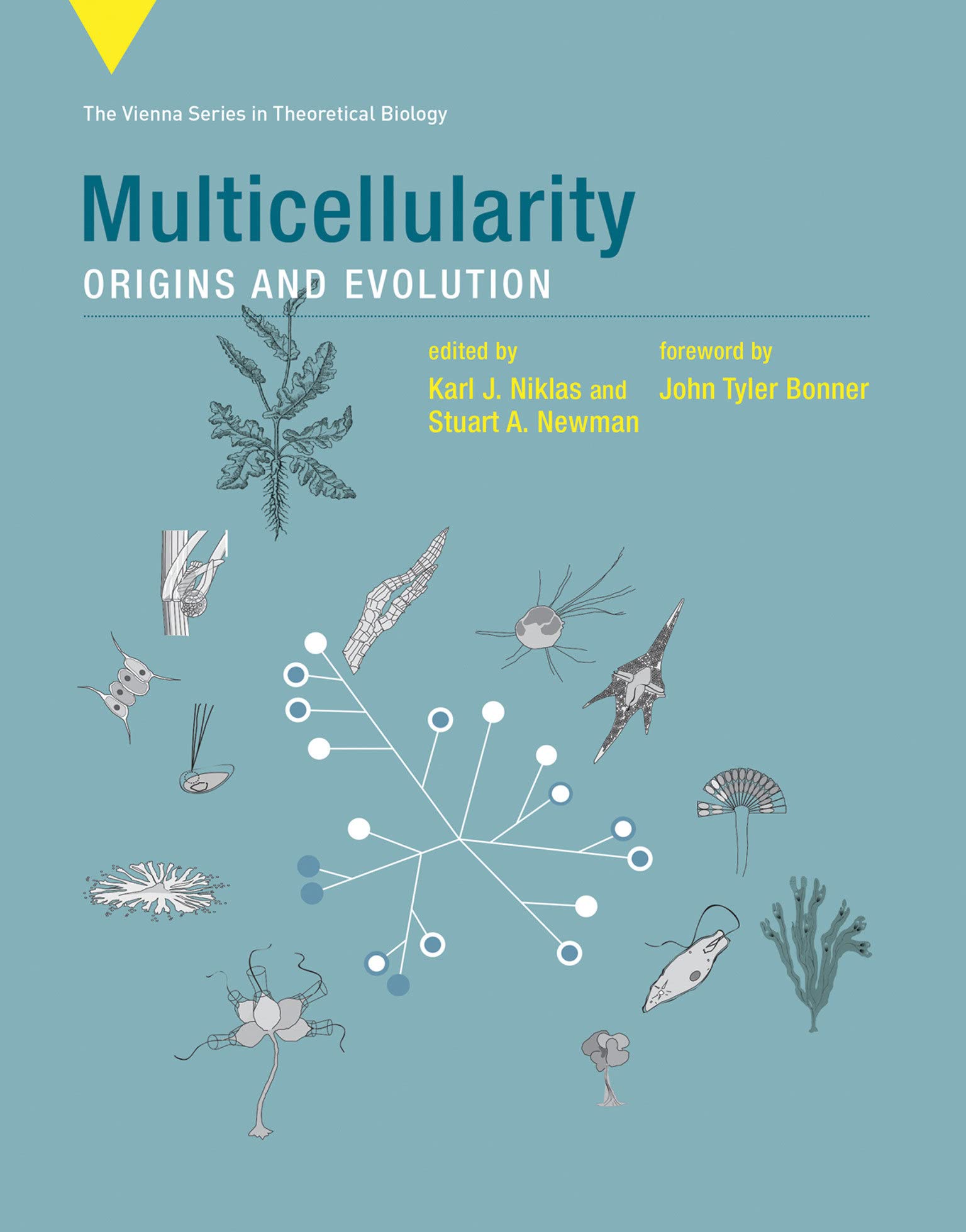 Multicellularity: Origins and Evolution: 18 (Vienna Series in Theoretical Biology)