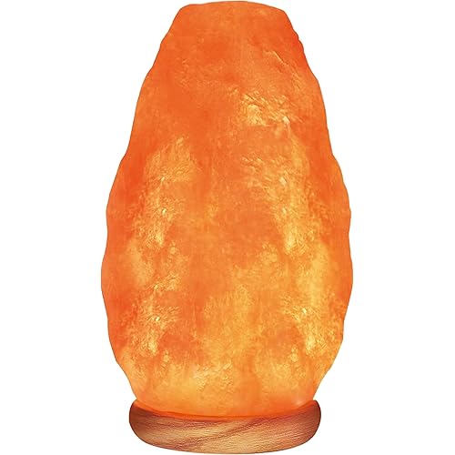 WBM LLC Himalayan Glow Natural Pink Salt Lamp, Crystal Salt Lamp Night Light with (ETL Certified) Brightness Control Dimmer Switch, Wooden Base & Salt Lamps Bulb | 6-8 LBS, Model Number: 1001