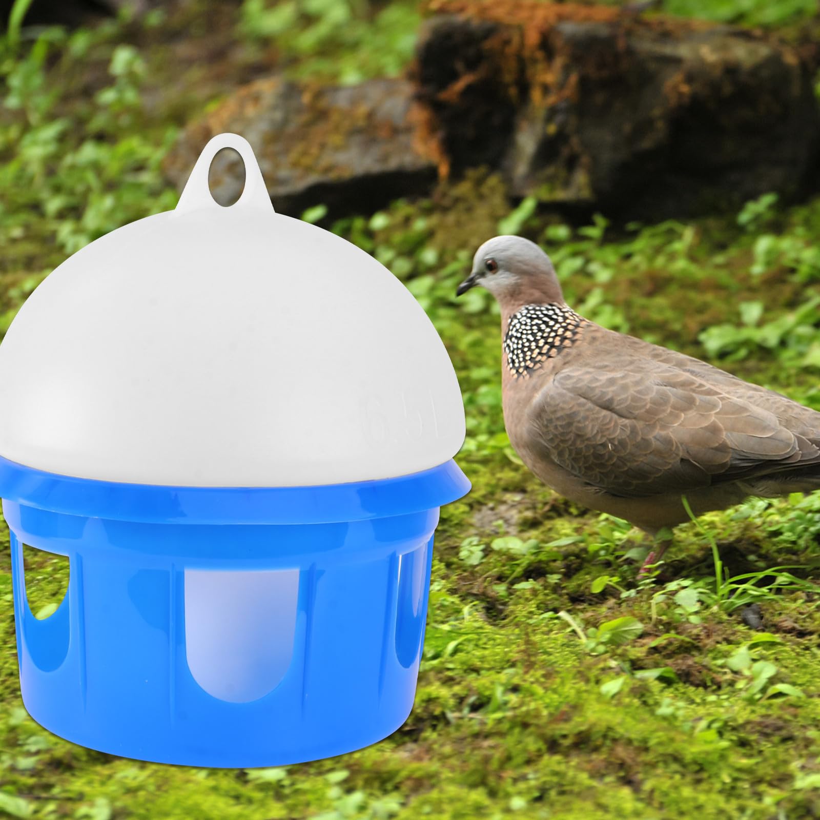 HOMSFOU Automatische Vogeltränke 6,5 L Weiß Blau Wasserspender für Tauben Papageien Vogelzubehör mit Langlebigem Material und Einfachem Reinigungssystem