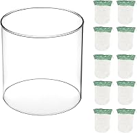 Vista 1 de 10-Pack Propane Lantern Mantles with Glass Globe: U-Shape & Standard Replacement Parts for Camping Lanterns. Clear Lantern Globe Compatible with