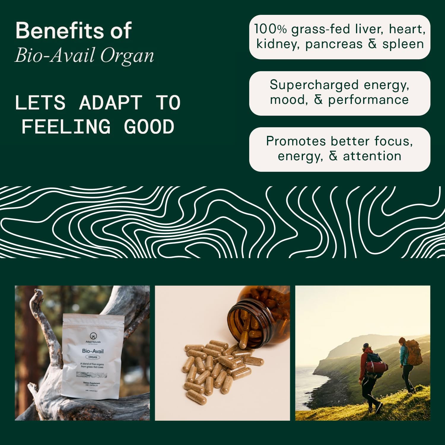Adapt Naturals Organ Supplement, Bioavailable Grass Fed Beef Liver Capsules, Blend of Liver, Heart, Kidney, Pancreas & Spleen, Support Liver Cleanse Detox & Repair | Source of CoQ10-30 Days Supply - Image 3