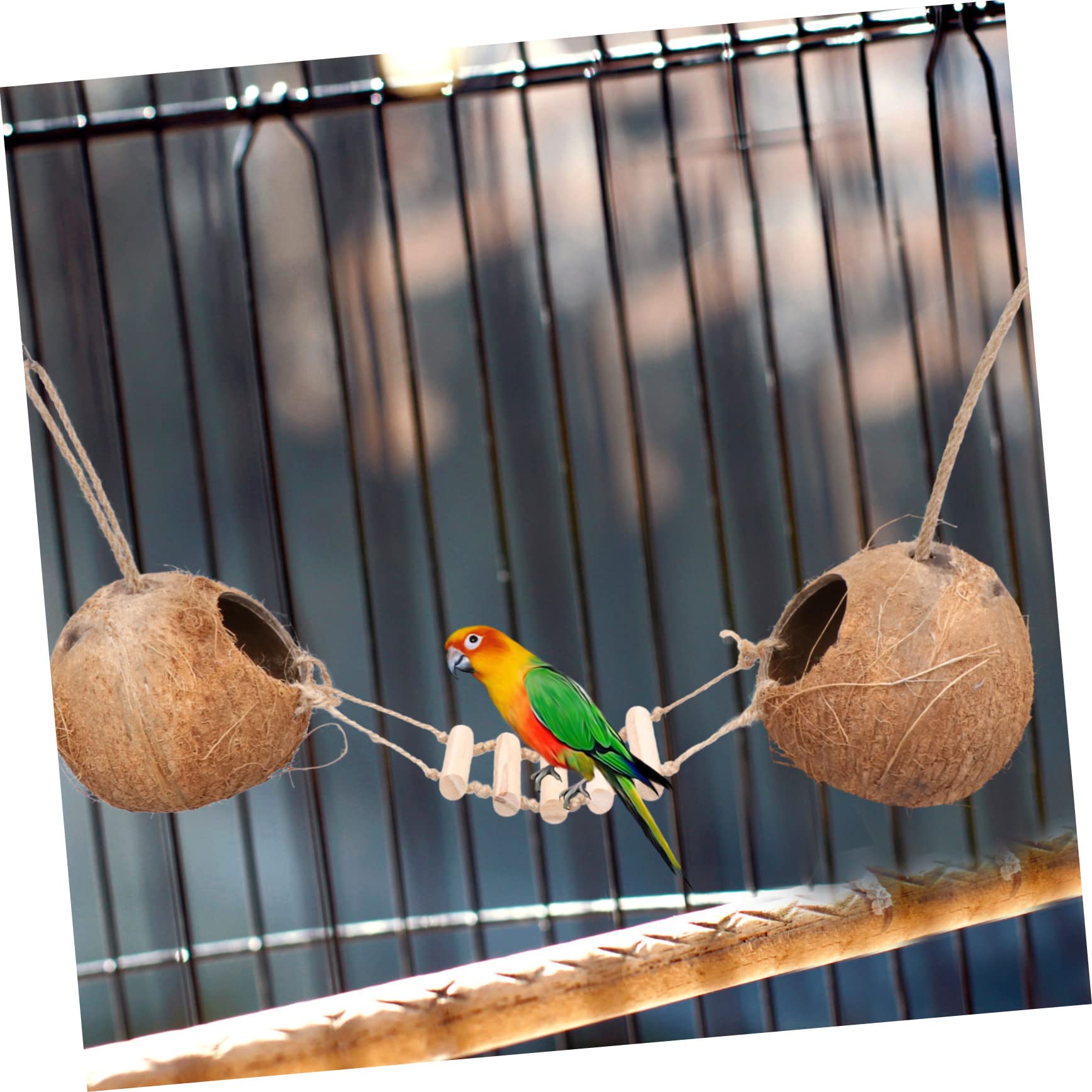 COLLBATH Vogelnest Kokosnuss Mit Leiter Natürliches Holzspielzeug Sicherer Ruheplatz Für Kleine Vögel Und Hamster