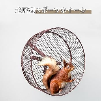 Amazon.co.jp: REENEW ハムスター回し車 サイレントホイール 回し車 Amazon.co.jp: REENEW ハムスター回し車 サイレントホイール 回し車