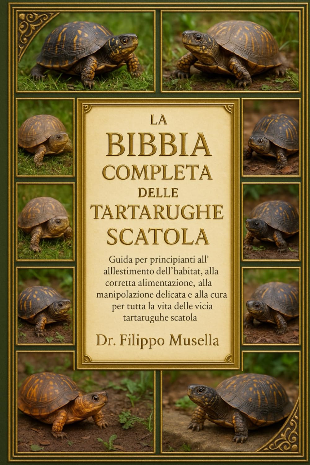 LA BIBBIA COMPLETA DELLE TARTARUGHE SCATOLA: Guida per principianti all'allestimento dell'habitat, alla corretta alimentazione, alla manipolazione ... per tutta la vita delle tartarughe scatola