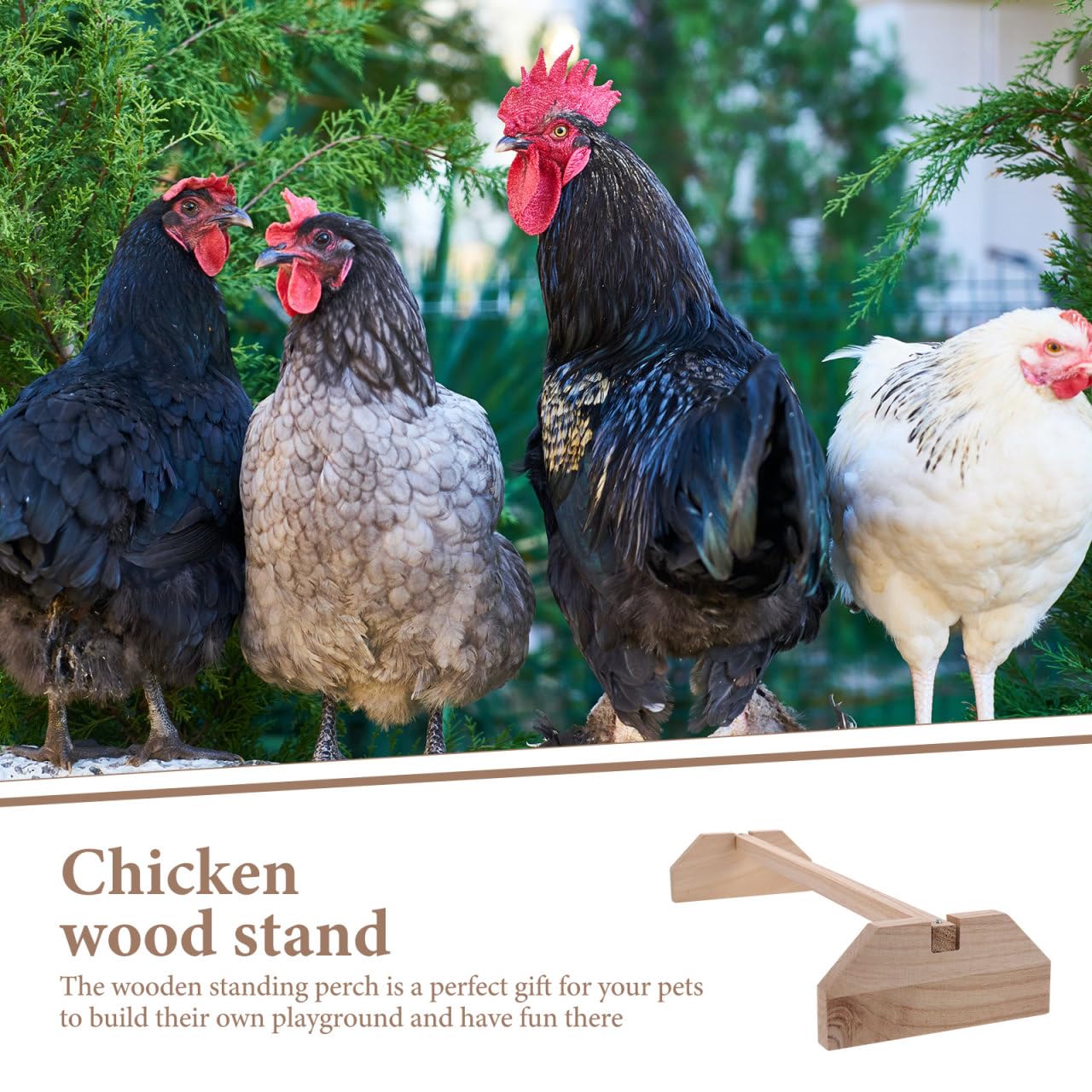 Hemobllo Perchoir pour Poules en Bois Naturel 40cm, Support d'Entraînement Stable à Base Triangulaire pour Poussins, Jouet de Poulailler Fait Main pour Volailles et Grands Perroquets (Aras)