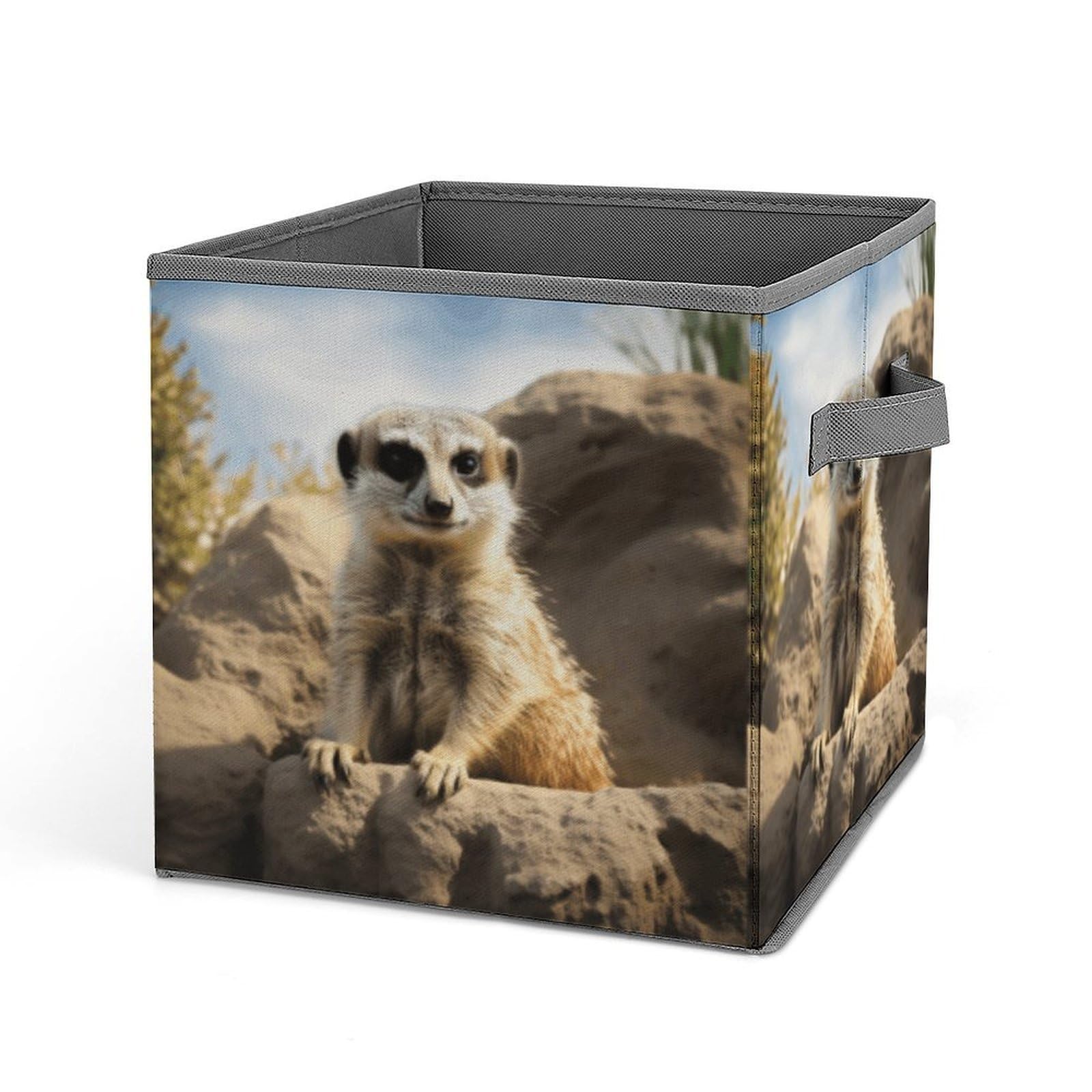 DWVTSLH Meerkat Animal Cube Storage Bins with Handle, Foldable Storage Cubes, 11 Inch Large Storage Baskets, Washable Fabric Closet Organizer for Shelves, Decorative Clothes Storage Boxes
