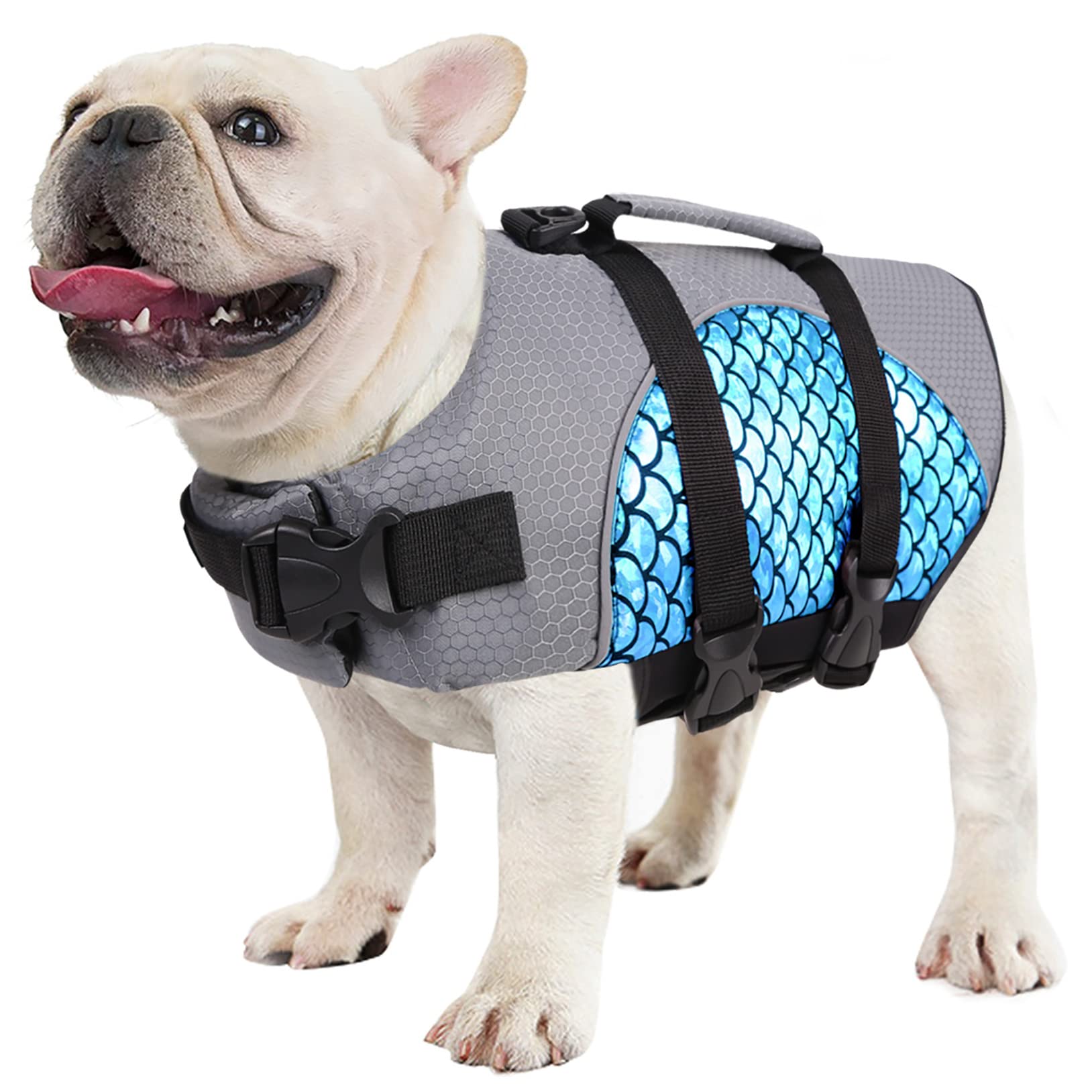 How Do I Measure My Dog For A Life Jacket