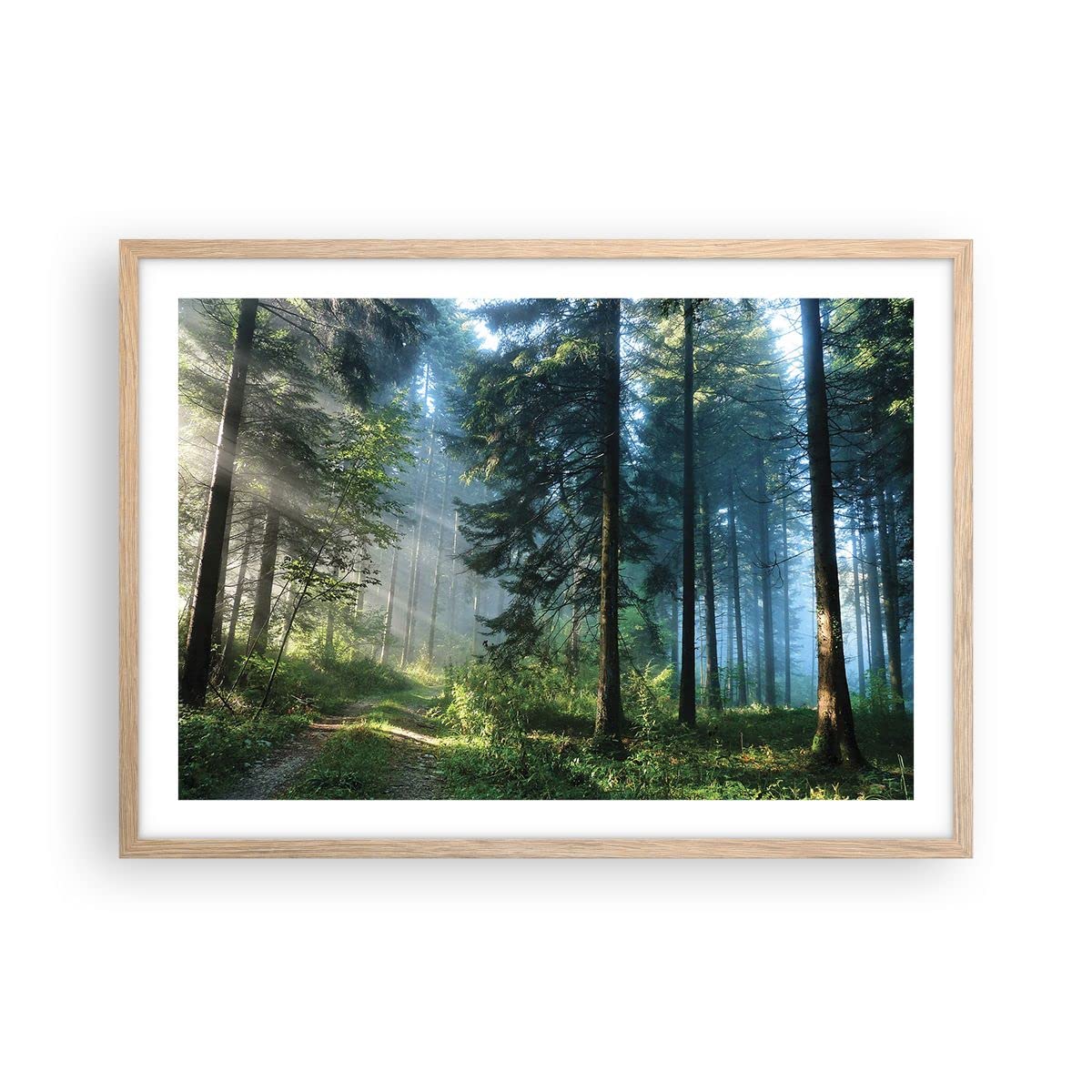 Impression sur Toile 70x50cm Tableaux Image Forêt