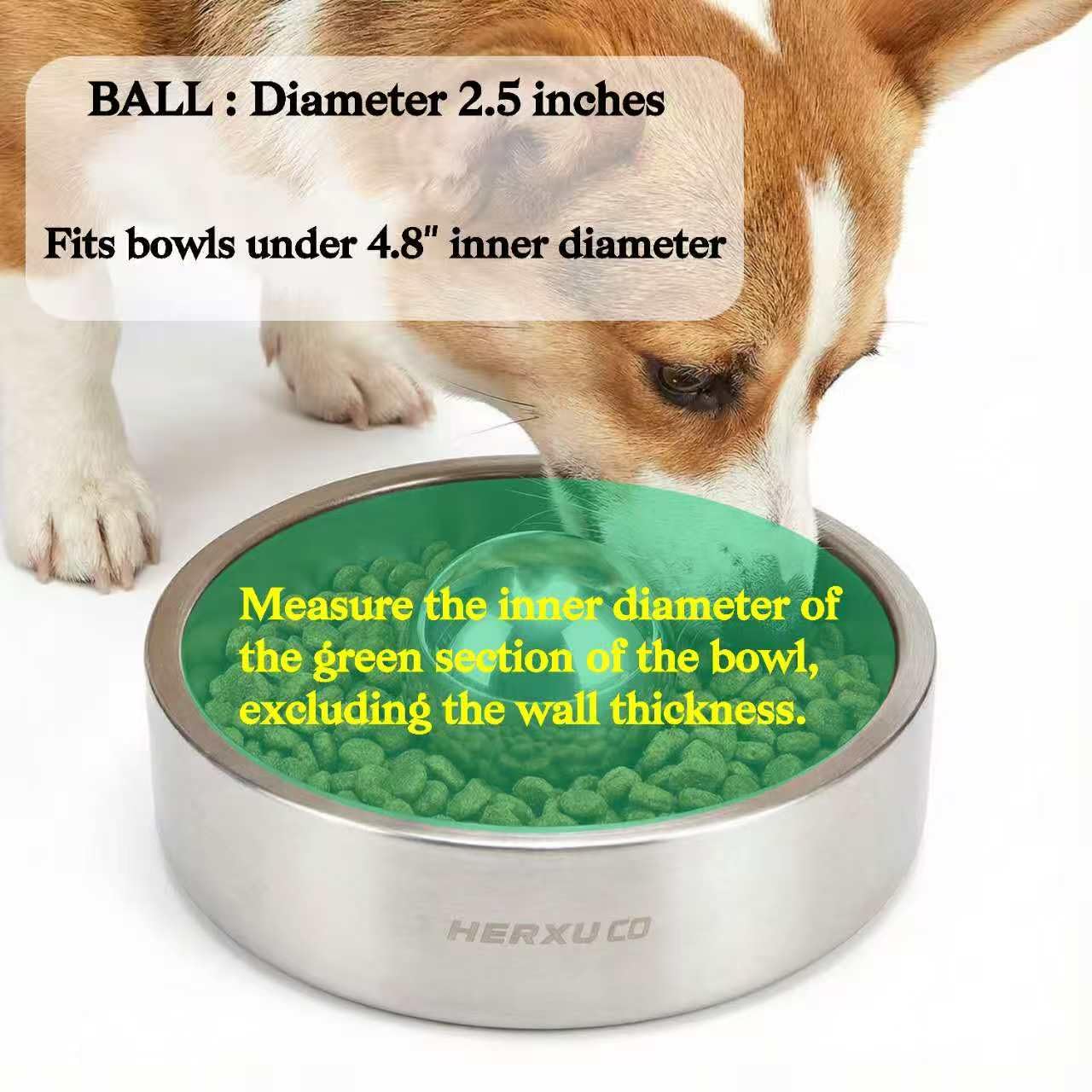 SUS304 Stainless Steel Dog Food Slow Feeder Ball - 2.5in - Slows Fast Eating, Prevents Choking, Bloating & Obesity - Fun Feeding for All Dogs - Durable, Smooth & High Adaptability (Small 2.5Inch) - image 2