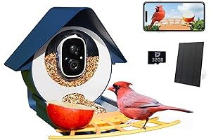 Innovative Birdbuddy Feeder: The Ultimate Birdwatching Haven