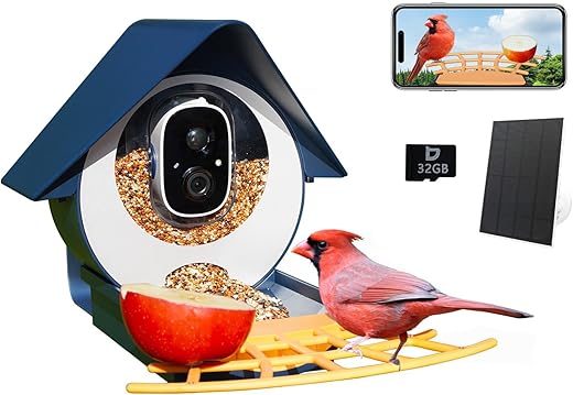 birdkiss smart bird feeder