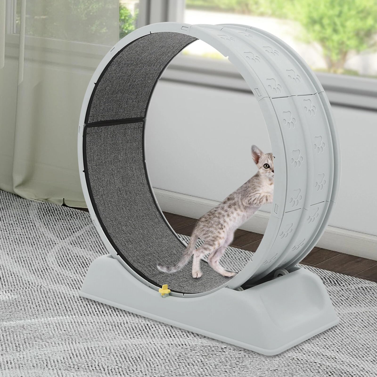 Bicicletta per gatti 80 cm – Grande e silenziosa per gatti d'appartamento, robusta bicicletta fitness con fibbia di sicurezza, incluso tappeto e carillon – Adatto per gatti fino a 10 kg (grigio)