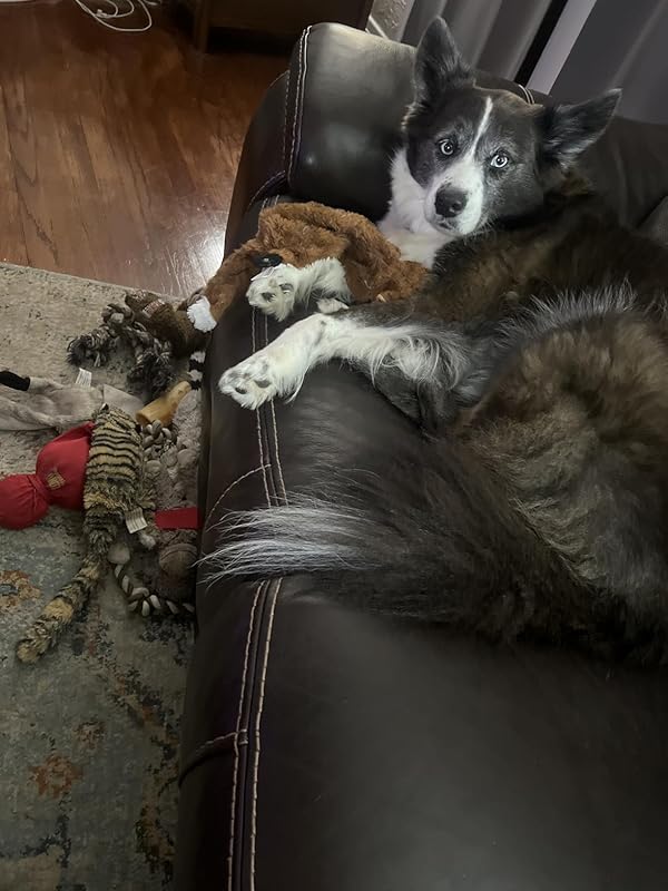 Dog Squeak Toys, No Stuffing Plush Dogs Chew Toy Bundle for Small Medium Large Breed Chewer Tough Durable Squeaky Pet Fetch Puppy Teething Chewing Interactive to Keep Them Busy Best Birthday Gift : Pet Supplies Review Image