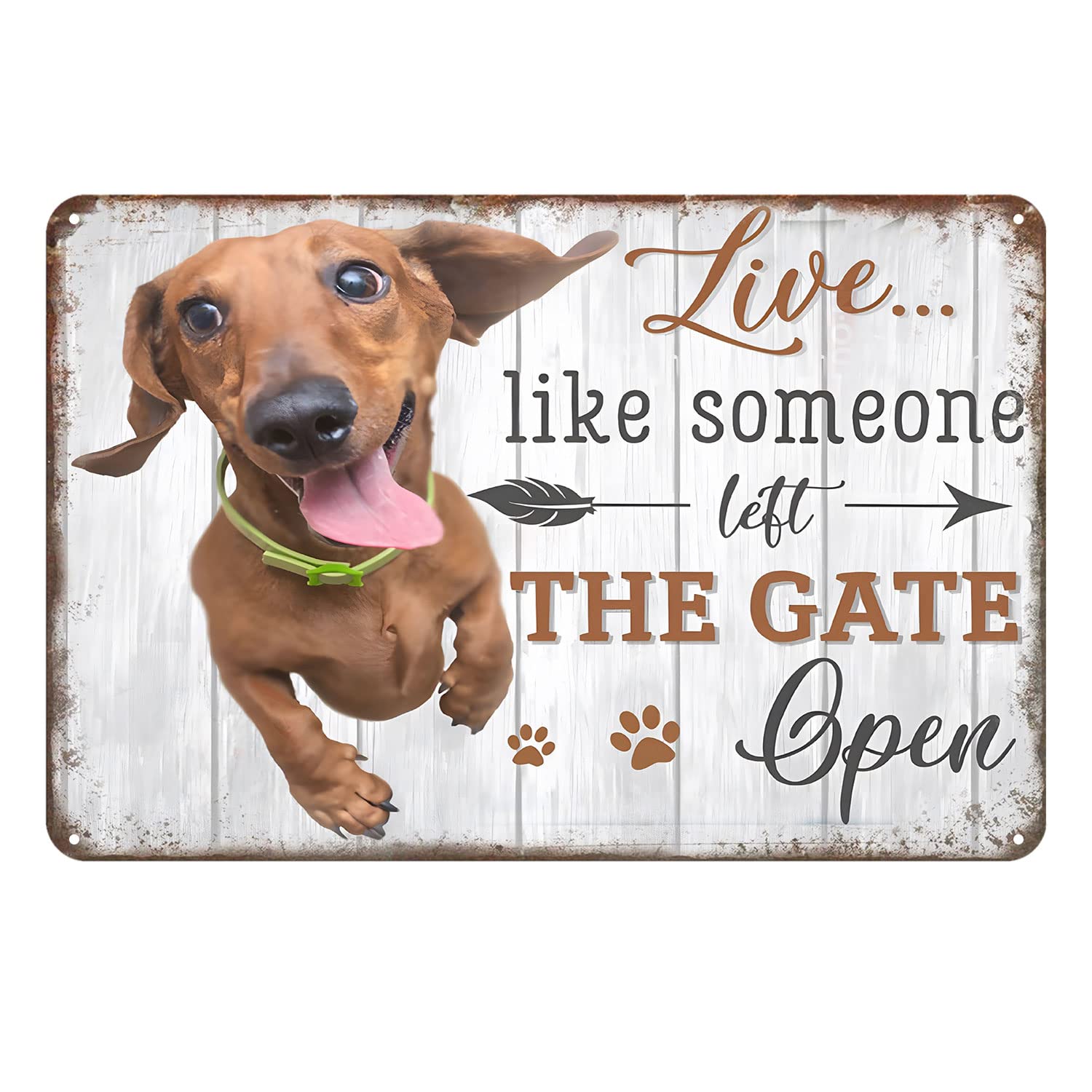 Live Like Someone Left The Gate Open Dachshund Dog Vintage Tin Sign Retro Metal Signs for Garage Family Bar Cafe Room Bathroom Art Wall Decor 12 x 8 inch