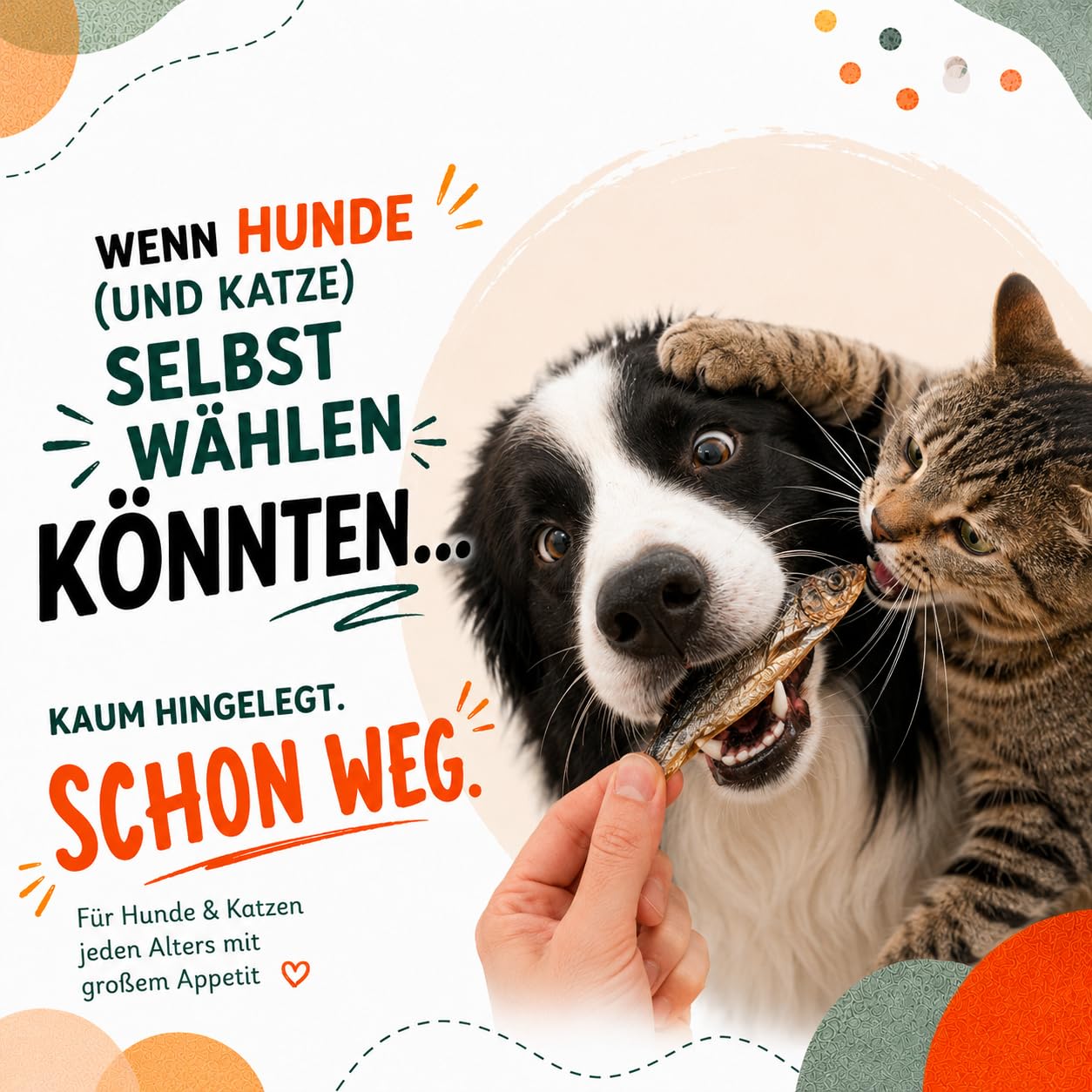 Getrocknete Sprotten für Hunde & Katzen, 100% Fisch, natürlicher Fischsnack & Kausnack, reich an Omega-3 Fettsäuren, Monoprotein, ohne Zusatzstoffe, getreidefrei, Hundesnack & Katzensnack (1kg)