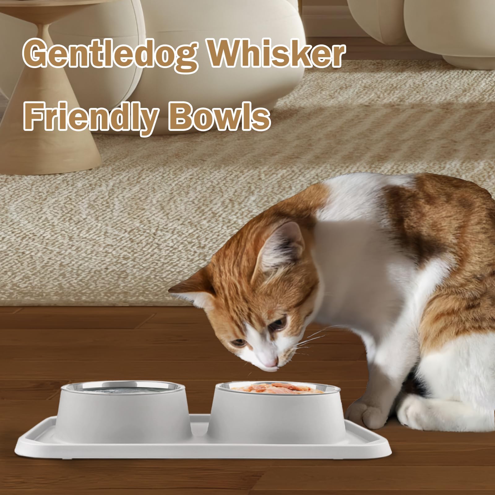 Gamelles pour chat pour nourriture et eau, double gamelles amovibles en acier inoxydable de qualité supérieure avec fond antidérapant et support surélevé pour animaux de compagnie et petits