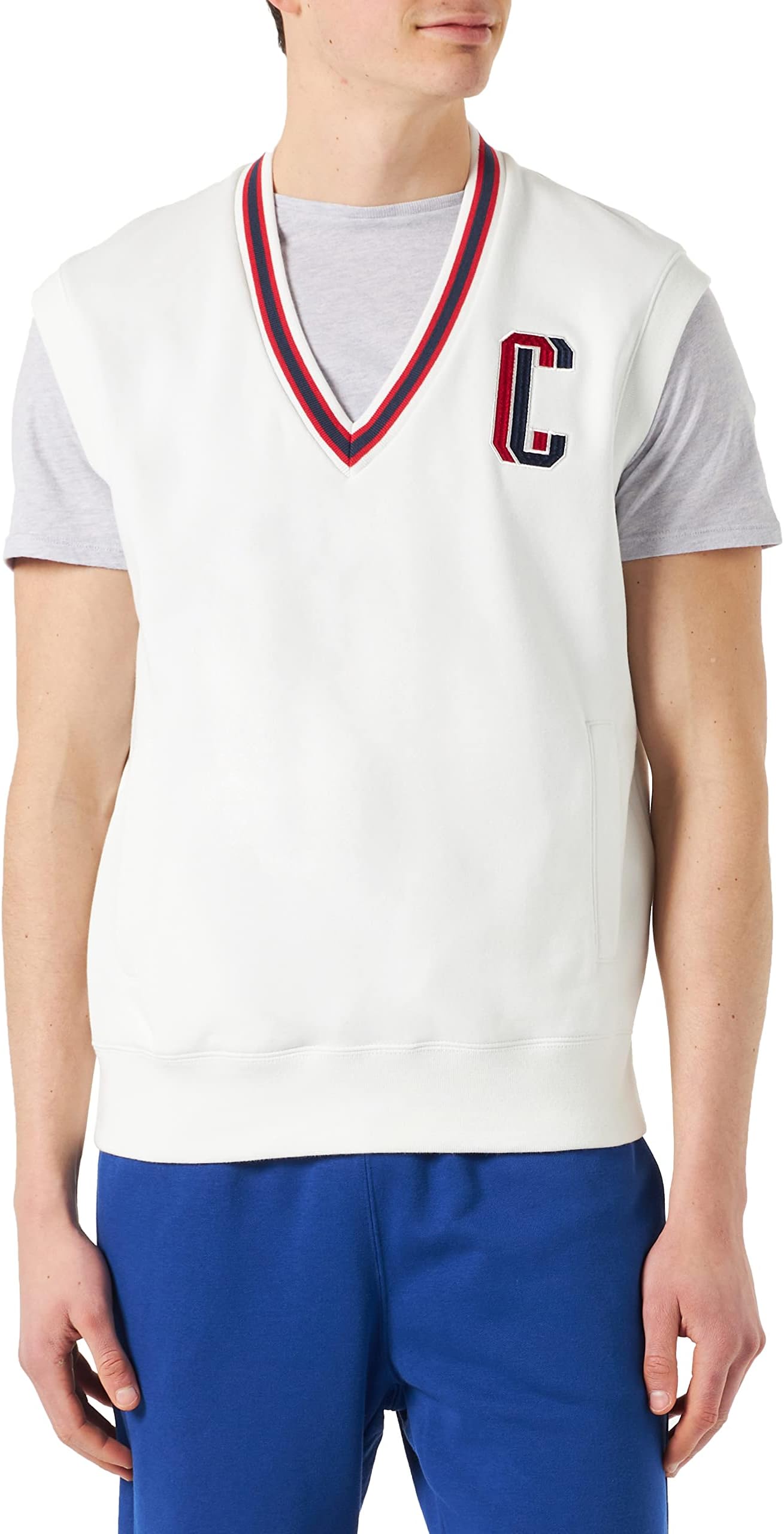 Champion Men's Rochester 1919 Bookstore V-neck S-l Sweater Vest
