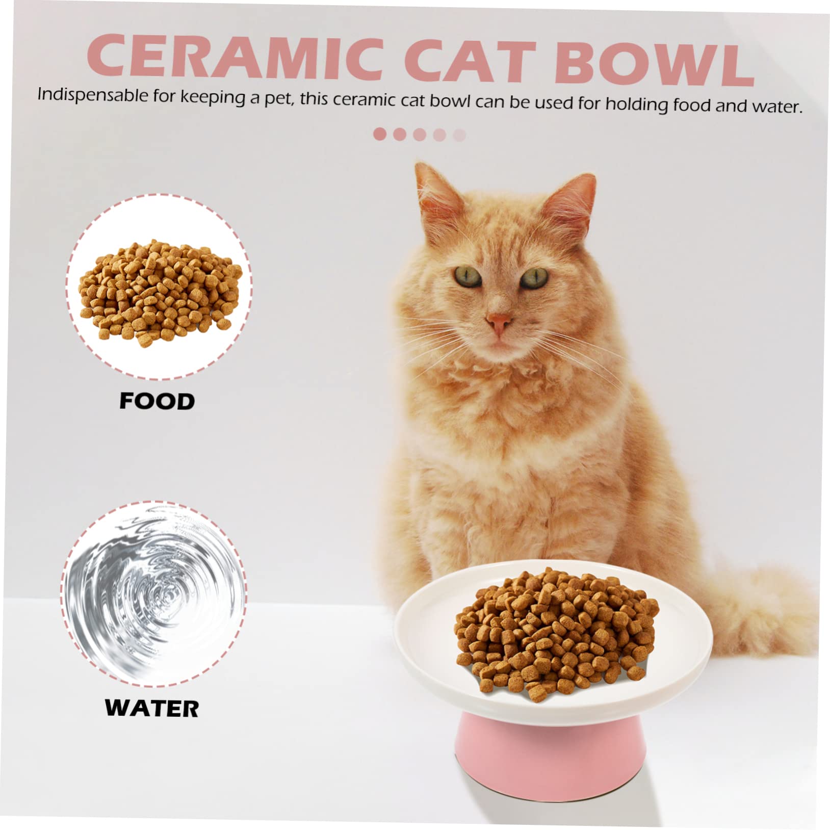 Cuenco Protección Cerámica de Elevado Cervical para Gatos