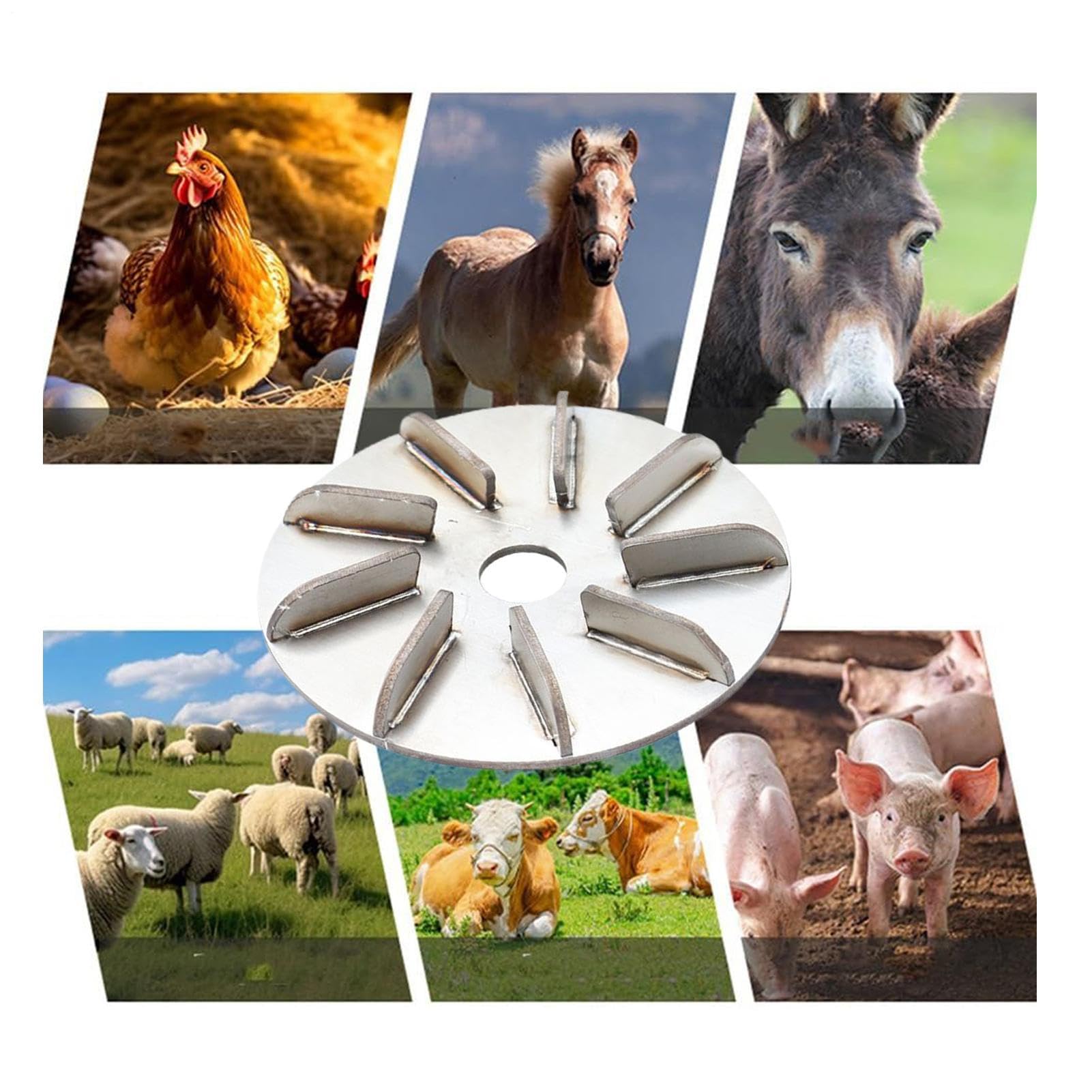 Extracteur de poils de porc, grattoir en acier inoxydable, disque pour enlever les poils de porc, pour chèvres, poules, vaches, moutons, volailles, canards, abattoirs, cuisine