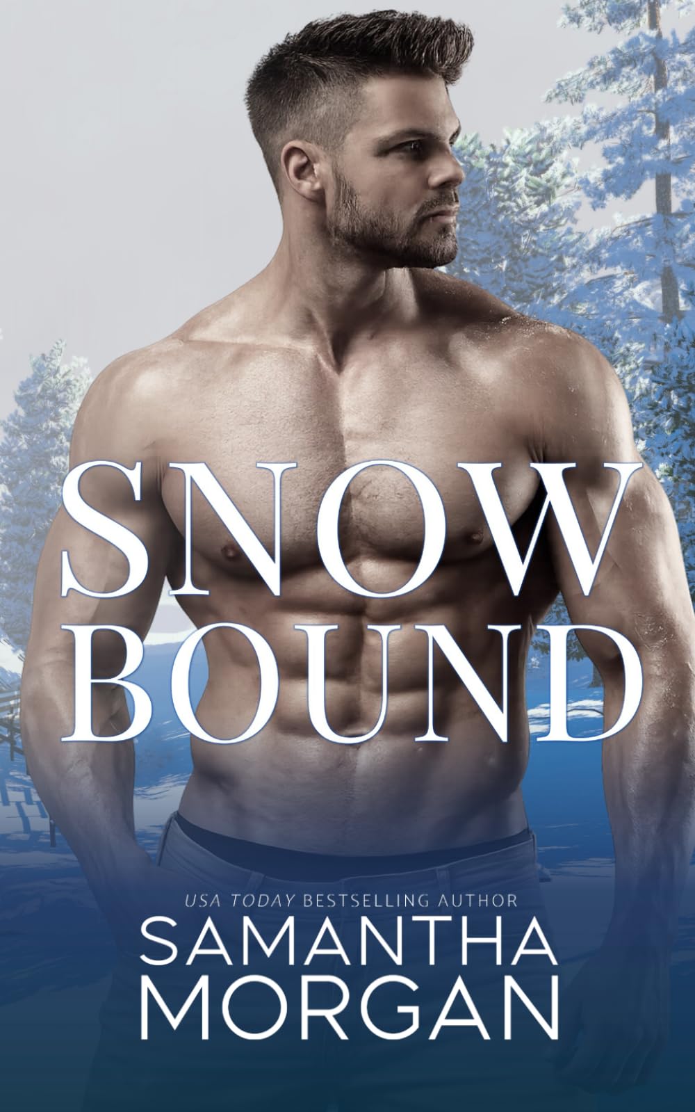 Snow Bound