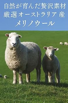 Amazon.co.jp: Set of 2, 85% Merino Wool, Men's, Boxer Shorts, Sweat  Absorbent, Quick Drying, Odor Resistant, Antibacterial, Outdoors, Mountain  Climbing, Travel, All Year Round Comfort, Underwear, Black, M : Clothing,  Shoes & 2枚組 ·85%メリノウール·メンズ ·ボクサーパンツ· 吸汗速乾 ·防臭抑菌· アウトドア · 登山 ·旅行 ·一年中快適 ·下着