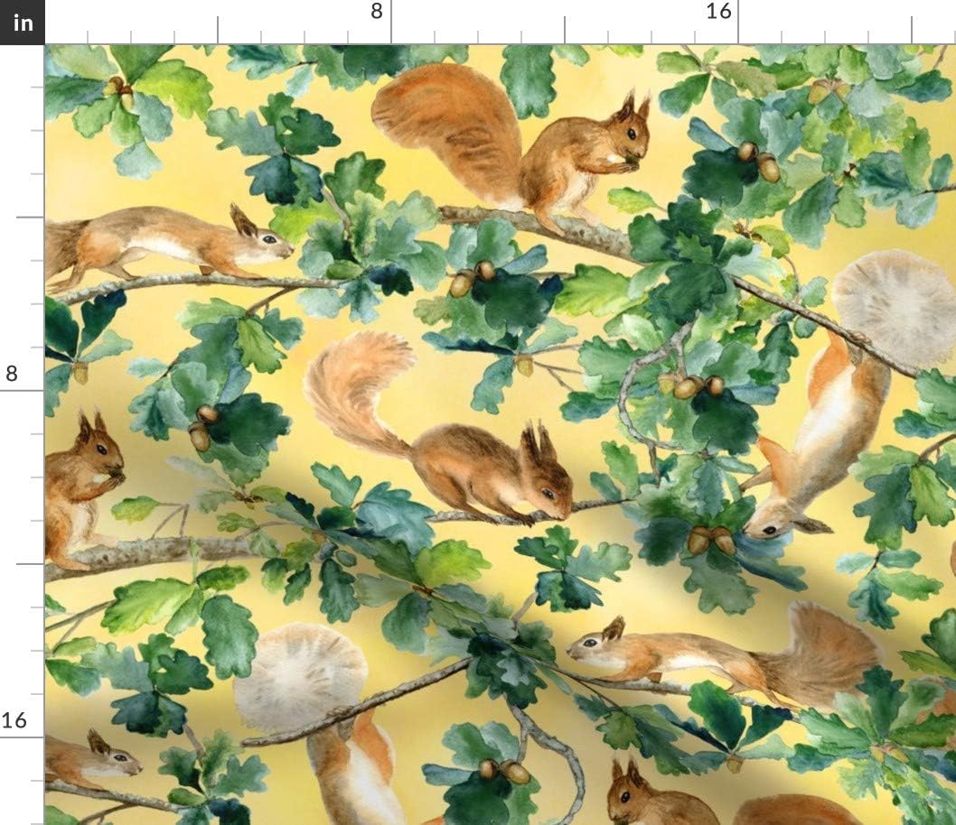 Spoonflower Fabric - Squirrels Watercolor Squirrel Animal Autumn Summer Tree Woodland Printed on Petal Signature Cotton Fabric by The Yard - Sewing Quilting Apparel Crafts Decor