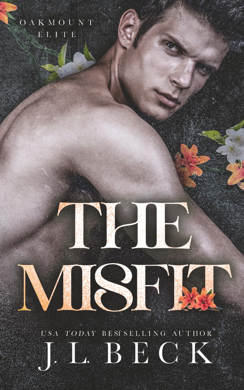 The Misfit: Eine düstere Fake-Beziehungsromanze (Oakmount Bully)